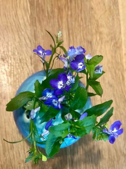 Vase pique-fleurs Turquoise