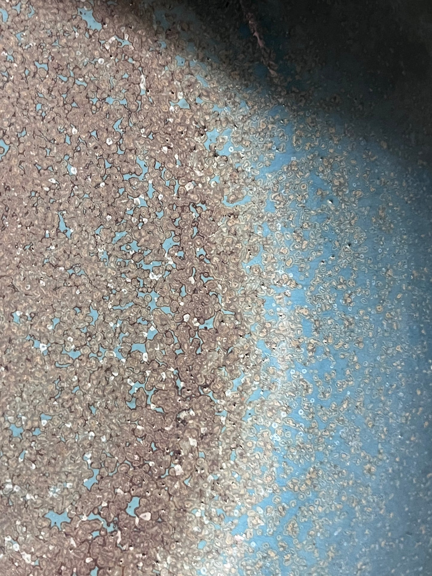 Coupe turquoise tacheté de noir